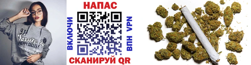 МАРИХУАНА сатива Кингисепп